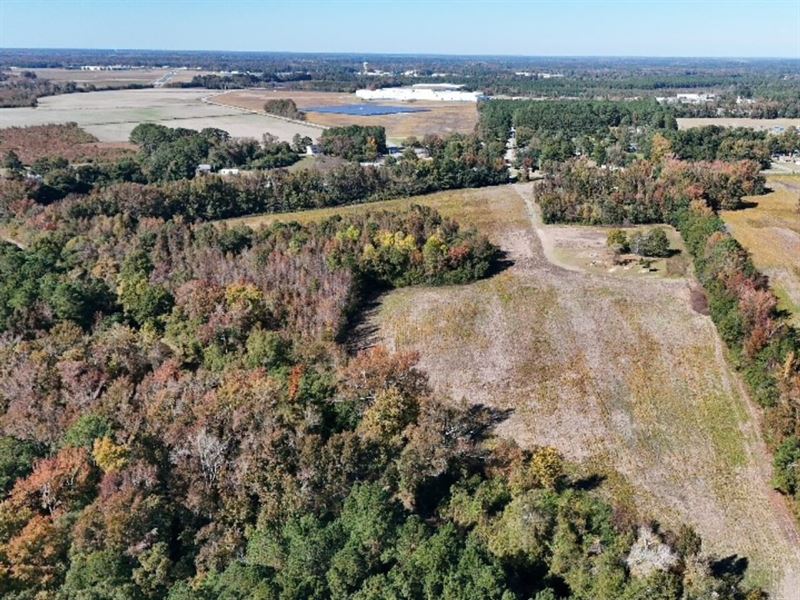 38.46 Acres of Productive Farmland : Lumberton : Robeson County : North Carolina