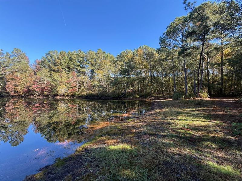 49 Acres of Cropland, Ponds, Timber : Lumberton : Robeson County : North Carolina