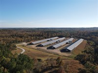 Benefield Mega Broiler Farm : Fruithurst : Cleburne County : Alabama
