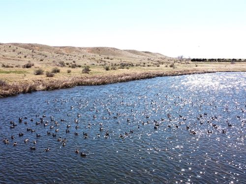 Cedar Creek Rec : Sterling : Logan County : Colorado