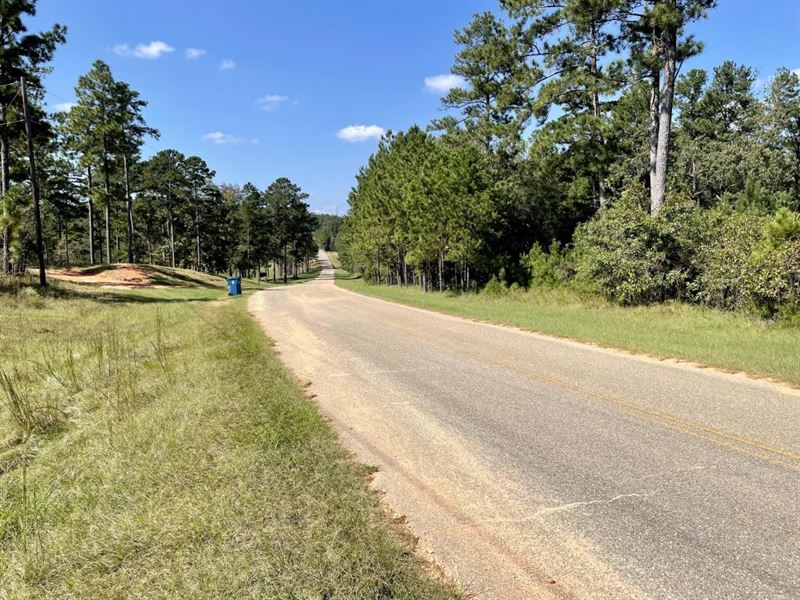 Bridlepath Road Estate Lot Homesite : Jackson : Clarke County : Alabama