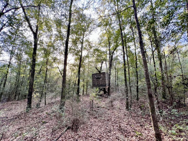 Mobile County Highway-158 : Eight Mile : Mobile County : Alabama