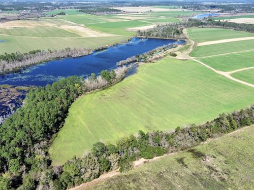 Foley Pastoral Lane Lakefront Farm : Foley : Baldwin County : Alabama