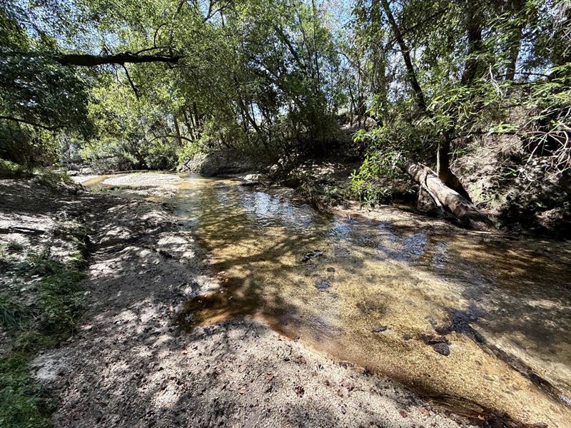 The Persimmon Creek Oasis, North : Robertsdale : Baldwin County : Alabama