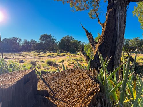 Oversize Lot, Power, Great Access : Snowflake : Navajo County : Arizona