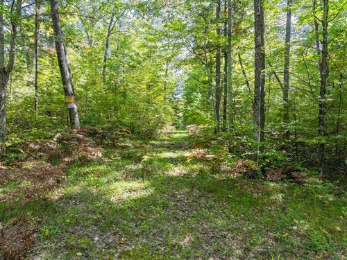 Hazelhurst Acreage : Hazelhurst : Oneida County : Wisconsin