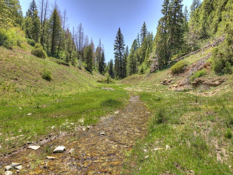 Pine Basin Ranch : Rifle : Garfield County : Colorado