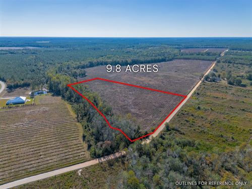 Tract 9 in Pinecone Trail, Mershon : Mershon : Pierce County : Georgia