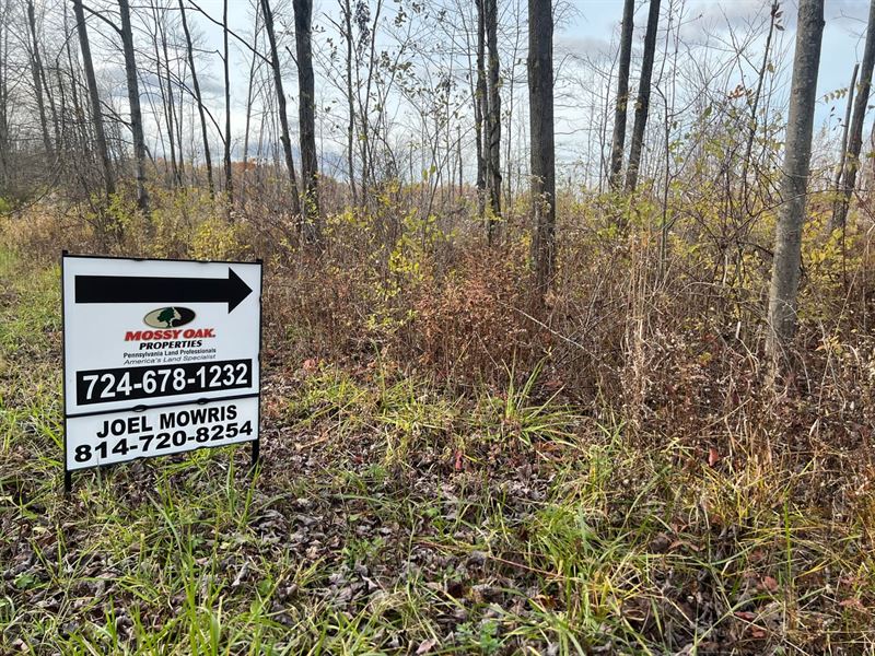 Tracy Rd. Erie County, 35 Acre : Albion : Erie County : Pennsylvania