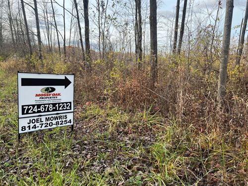 Tracy Rd. Erie County, 35 Acre : Albion : Erie County : Pennsylvania