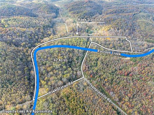 Thompsonville Rd, 42 Acres : Vinton : Ohio