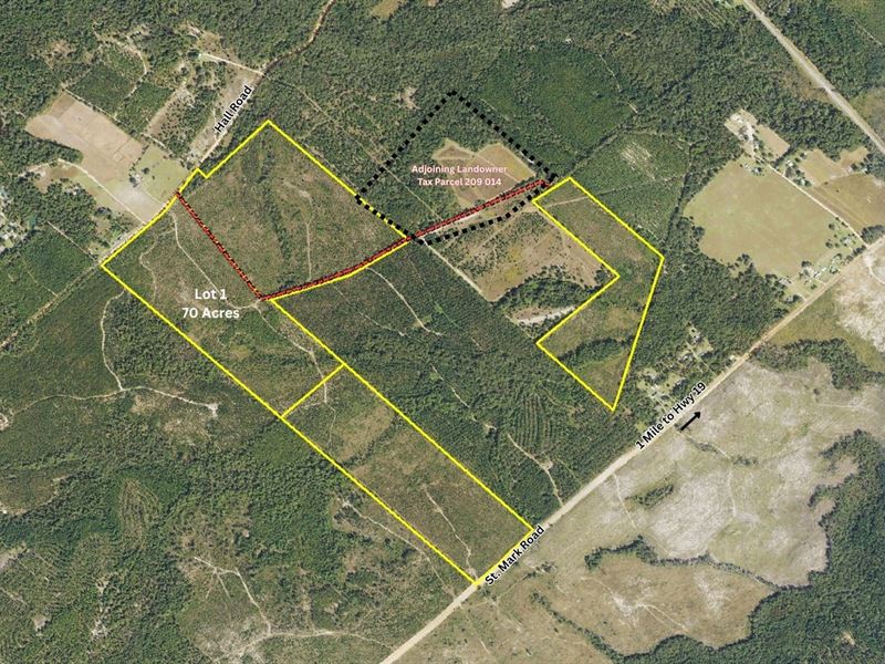 Online Auction, Great Timber Tract : Dublin : Laurens County : Georgia