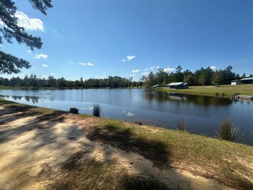 Hiltonia Lakes : Sylvania : Screven County : Georgia