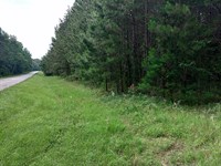 Recreation and Investment : Dublin : Laurens County : Georgia