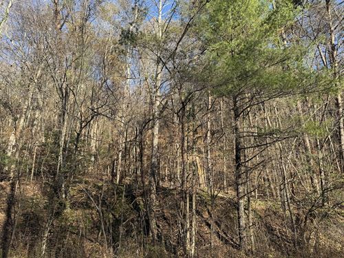 35.6 Acres in Ellijay, GA : Ellijay : Gilmer County : Georgia