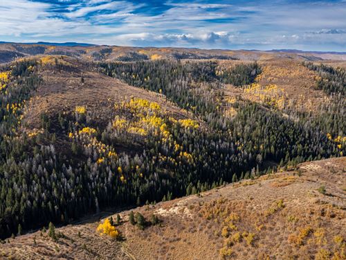 Arrow Rim Ranch : Rifle : Garfield County : Colorado