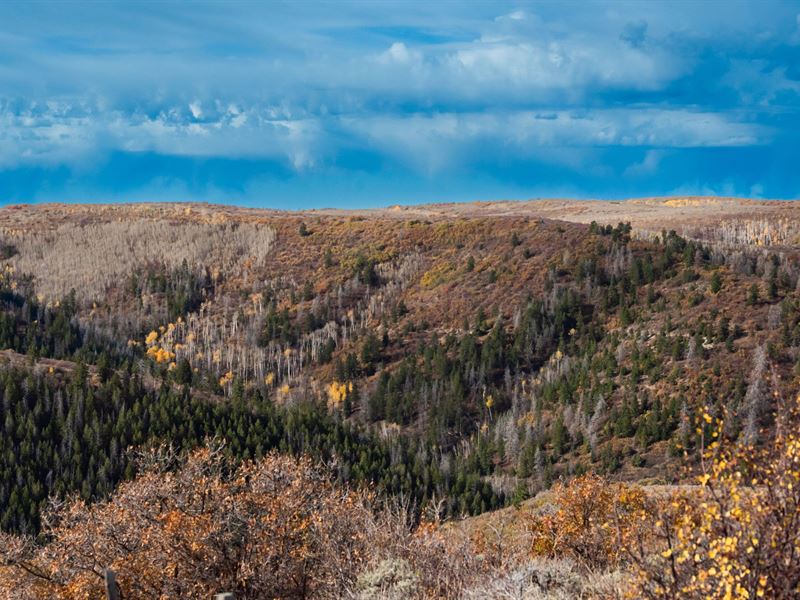 West Ridge Ranch : Rifle : Garfield County : Colorado