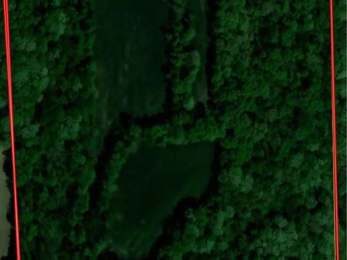 Greentree 40 : Newton : Jasper County : Illinois