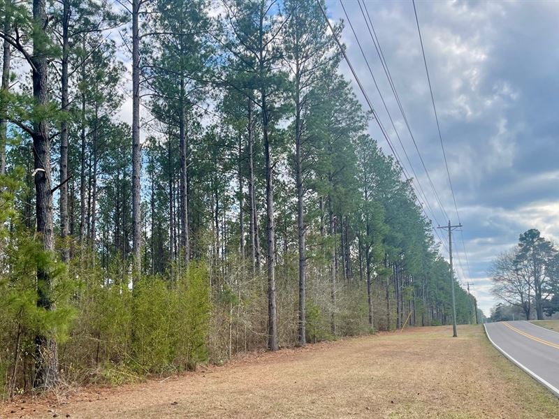 Cole Road Residential Development : Hattiesburg : Lamar County : Mississippi