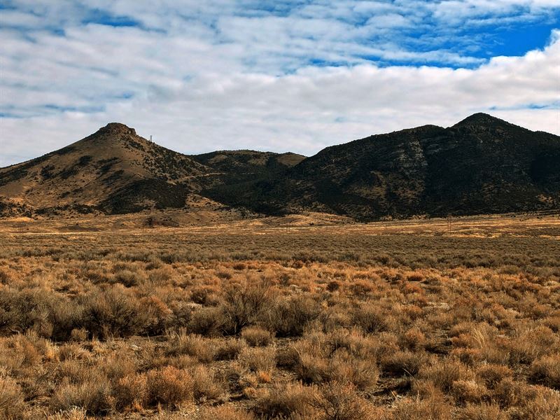 Nevada High Desert Sanctuary : Elko : Elko County : Nevada