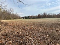 Land For Sale in Clay County, IN 26 : Brazil : Clay County : Indiana