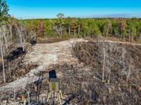 30 Acres in Jacksons Gap Near : Jacksons Gap : Tallapoosa County : Alabama