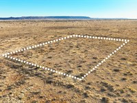 No HOA, Peaceful Retreat, $1 Down : Conchas Dam : San Miguel County : New Mexico