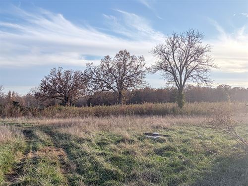 Land for Sale with Well & Barn : West Plains : Howell County : Missouri