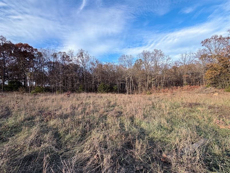 Land for Sale in Southern Missouri : West Plains : Howell County : Missouri