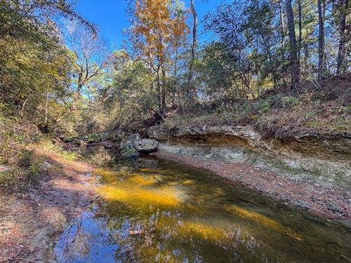 88 Acres, Rosenwall Road : Huntsville : Walker County : Texas