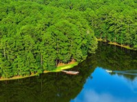 Seven Springs Ranch : Brushy Creek : Anderson County : Texas