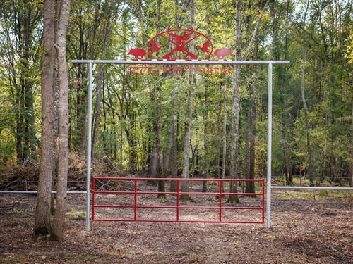 Kickapoo Timbers : Brownsboro : Henderson County : Texas