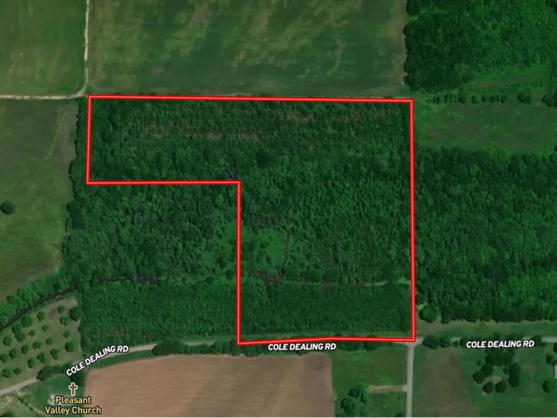 Hunting Woods, Scottt 19 : Scott : Lonoke County : Arkansas