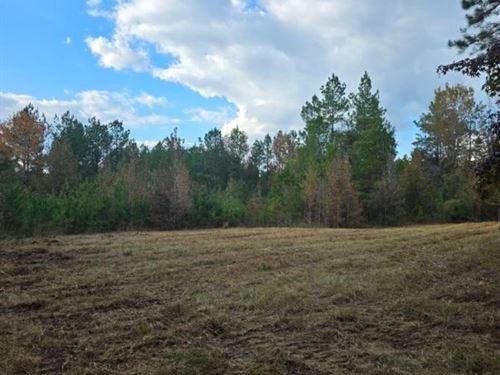 Moses Ln 40 : Prentiss : Mississippi