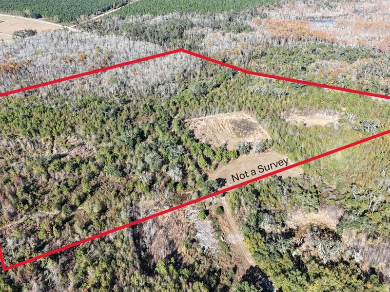 Hunter's Paradise, 57 Acres of Pri : Madison : Madison County : Florida