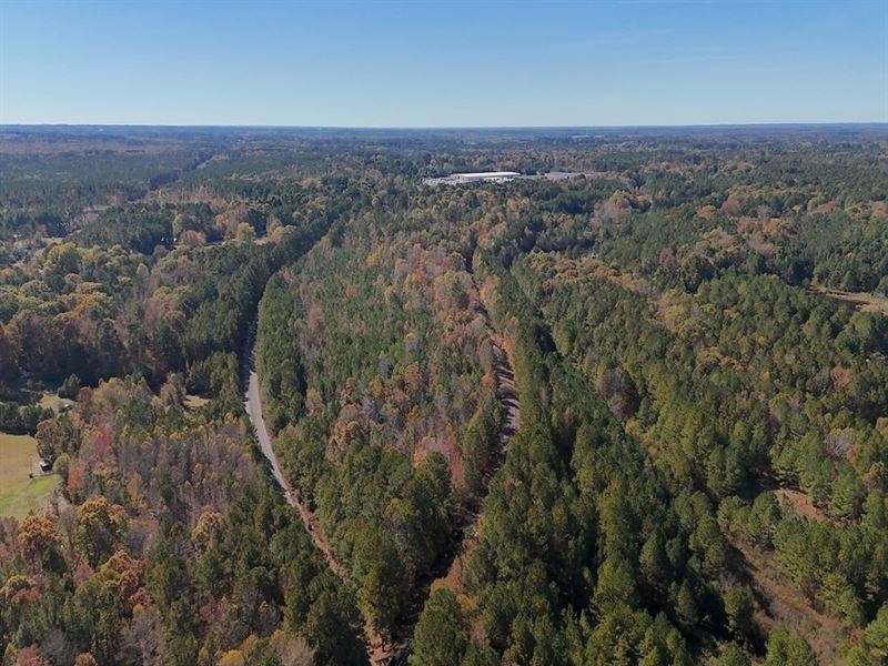 12.61 Acres of Recreational Timberl : Sanford : Lee County : North Carolina