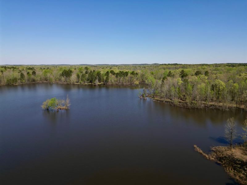 Copy 65 Acres, Private Lake & 2 : Little Rock : Pulaski County : Arkansas