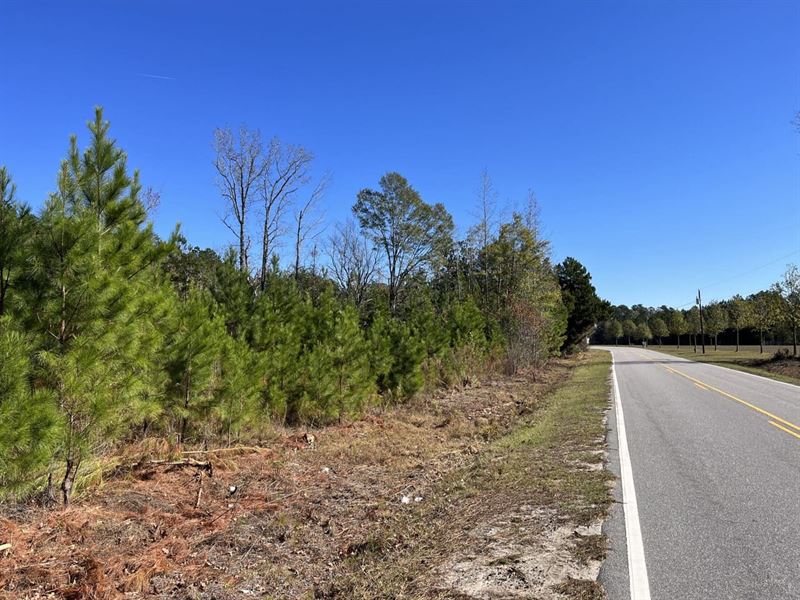 Willoughby North Tract : Lumberton : Robeson County : North Carolina