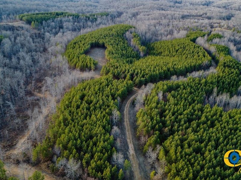 Settle Retreat : Stewart : Stewart County : Tennessee