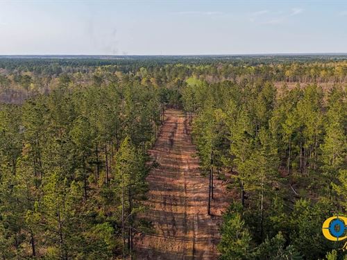 White Pond Ridge Estate : Williston : Aiken County : South Carolina