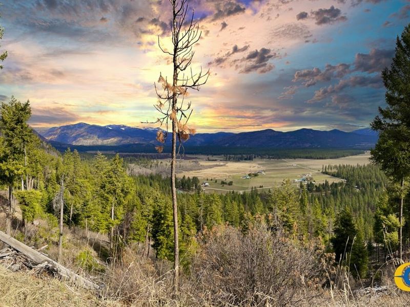 Blackjack Tract : Plains : Sanders County : Montana
