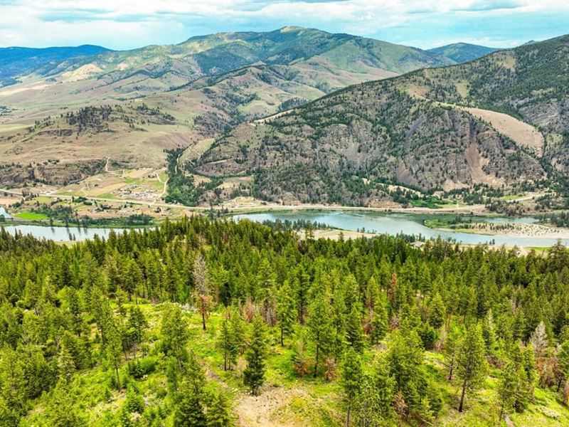 Pats Knob Hunting Ranch : Trout Creek : Sanders County : Montana