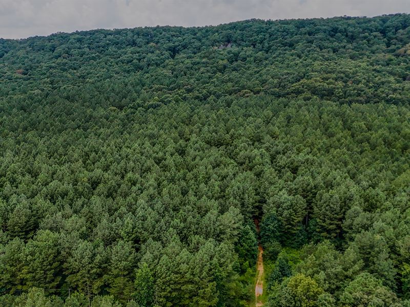 Back Valley Tract 3 : Lyerly : Chattooga County : Georgia