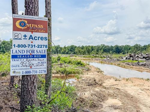 Banks Tract : Banks : Bradley County : Arkansas