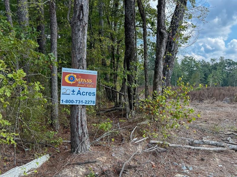 Ten Mile Creek : Rock Springs : Lincoln County : Arkansas