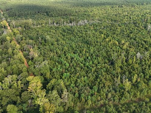 264 Acres in Hamburg, Arkansas : Hamburg : Ashley County : Arkansas