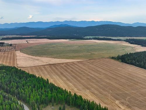 Farm To Market Road : Whitefish : Flathead County : Montana