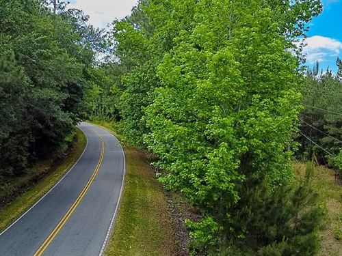 Peurifoy Tract : Walterboro : Colleton County : South Carolina