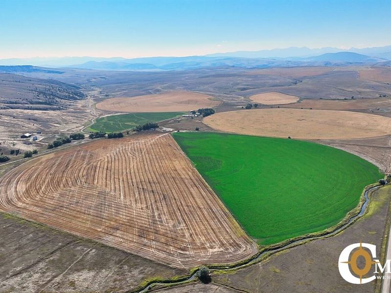 14917 Buffalo Jump Rd : Three Forks : Gallatin County : Montana