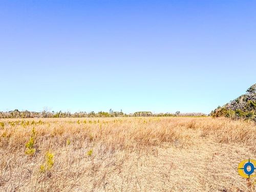 Bulloch Sands 13 : Statesboro : Bulloch County : Georgia